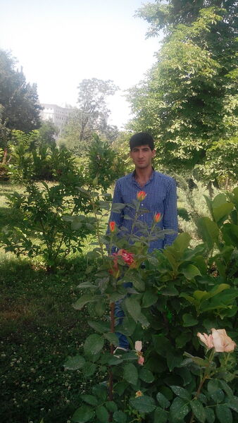  ,     , 36 ,   