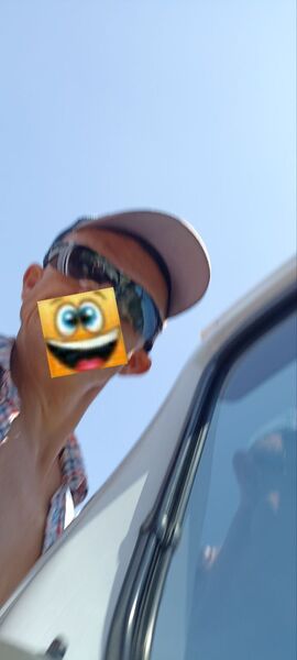  ,   Talan, 43 ,   