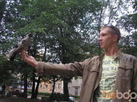  ,   REAKTIVE, 41 ,   ,   , c 