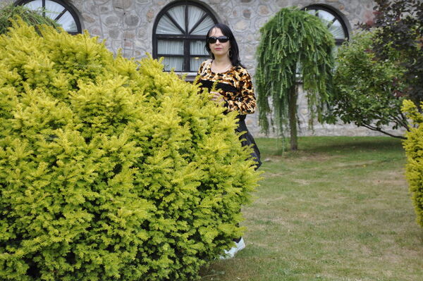  ,   , 43 ,  