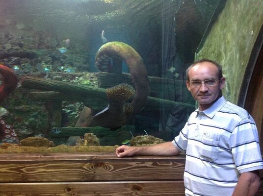  ,   Cemen, 54 ,   