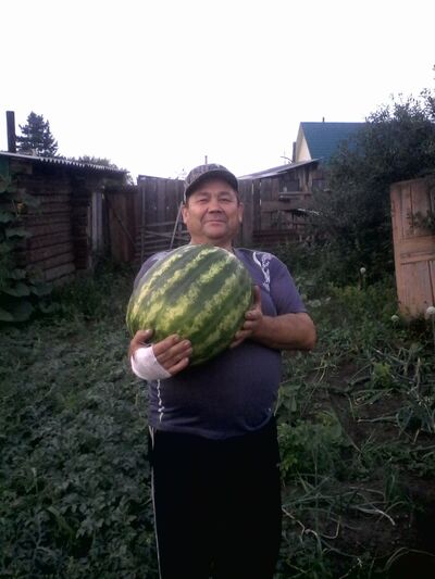  ,   , 65 ,   ,   , c 