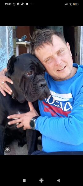  -,   , 35 ,   