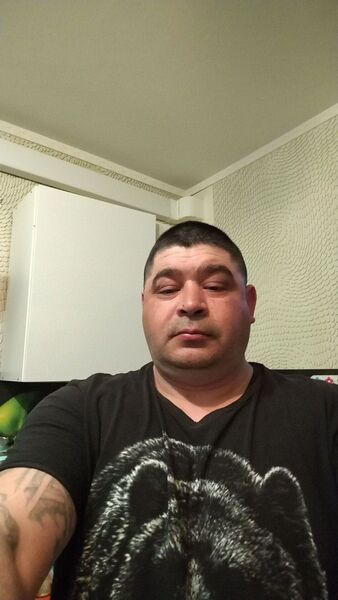  -,   , 44 ,   ,   