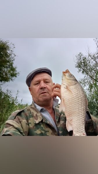  ,   , 50 ,   c 