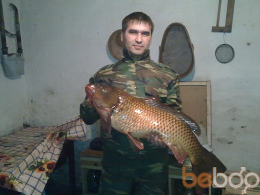   ,   , 50 ,  