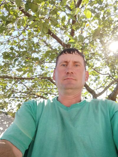  ,   , 44 ,   