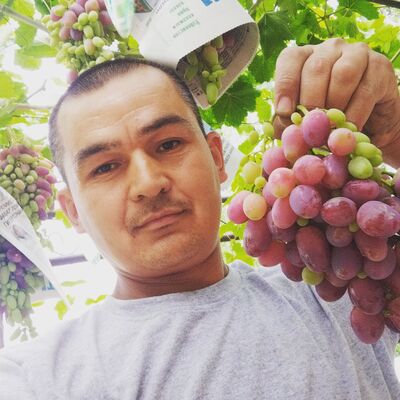  ,   Zokirovich, 37 ,   ,   