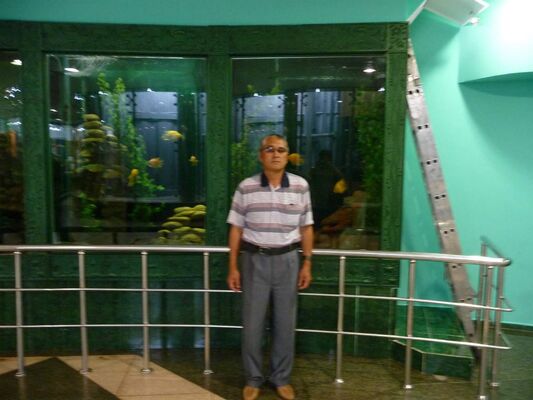  ,   , 62 ,   ,   , c 
