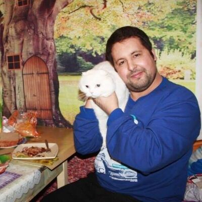  Algiers,   , 40 ,     , c 