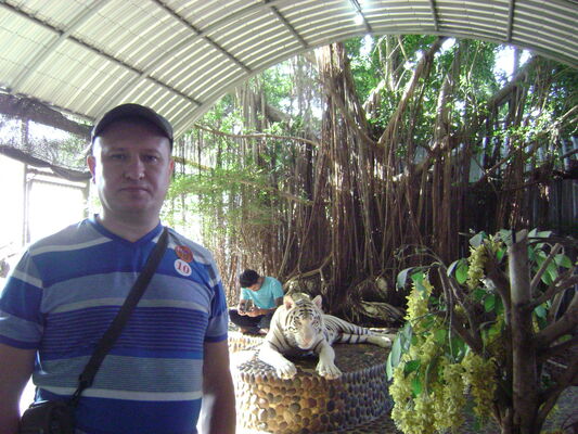  ,    , 45 ,   ,   , c 