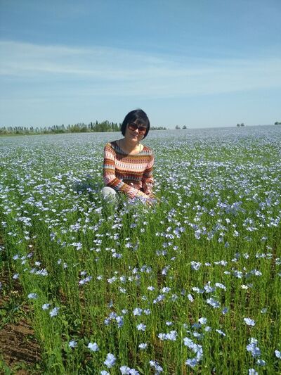  ,   Efa, 60 ,  