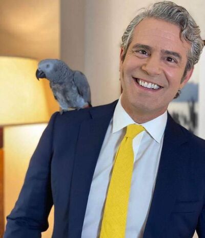  ,   Jerrywell, 54 ,   ,   , c 