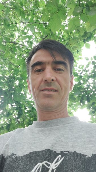  ,   Nazar, 45 ,   ,   