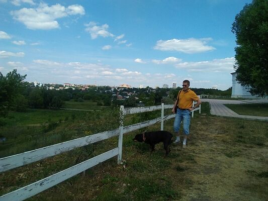  ,   , 62 ,  