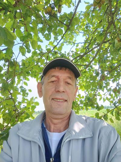  Kleve,   , 63 ,   c , 
