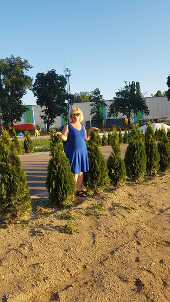  ,   Tzvetanka, 39 ,   ,   , c 