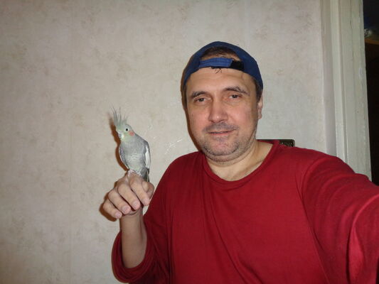  ,   , 52 ,   ,   , c 