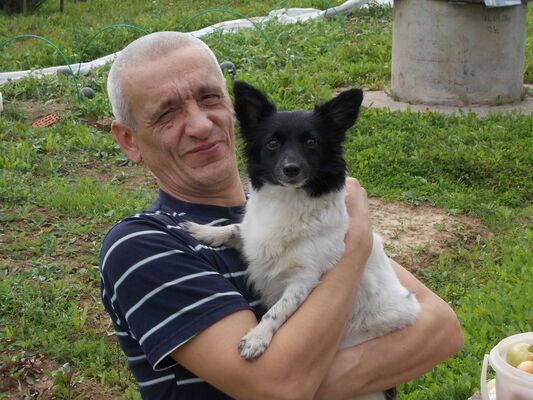  ,   , 57 ,   