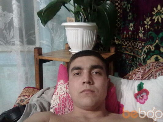  -,   Aleksandr, 38 ,     , c 