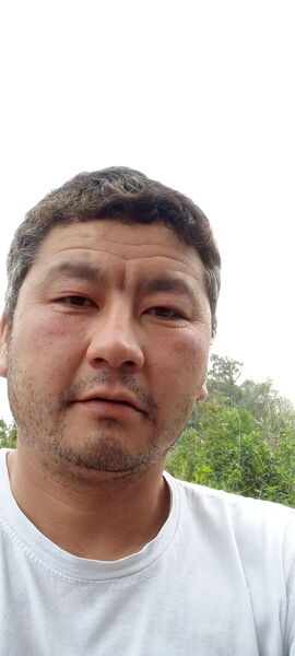 ,   Dima, 37 ,   ,   