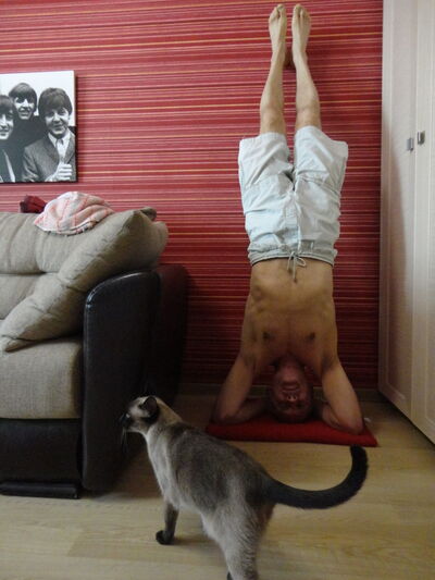  ,   SUPERSerg, 59 ,  