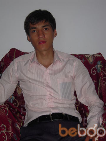  ,   Meir, 37 ,     , c 