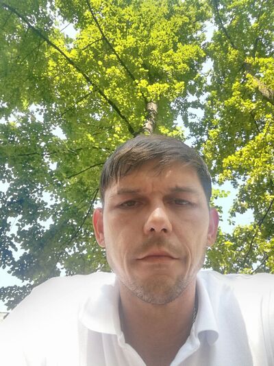  -,   , 44 ,   ,   
