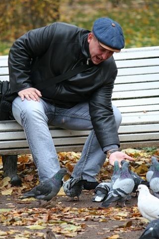 ���������� �����������, ���� ������� ����, 54 ����, ������������ 