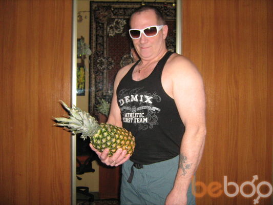  3259704  Kot, 62 ,    -