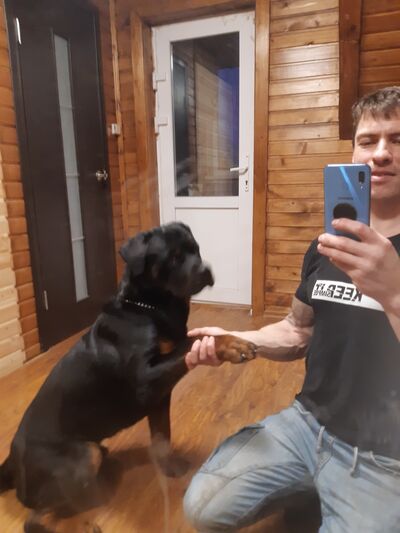  ,   Mikhail, 43 ,   ,   