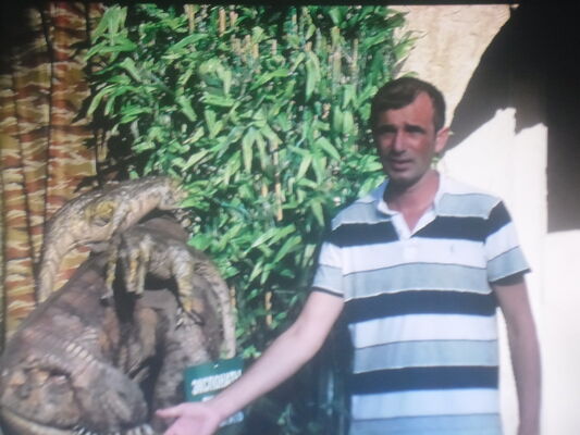  ,   , 46 ,   