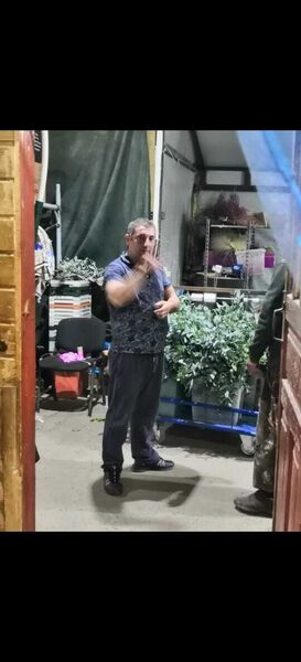  ,   , 37 ,   ,   