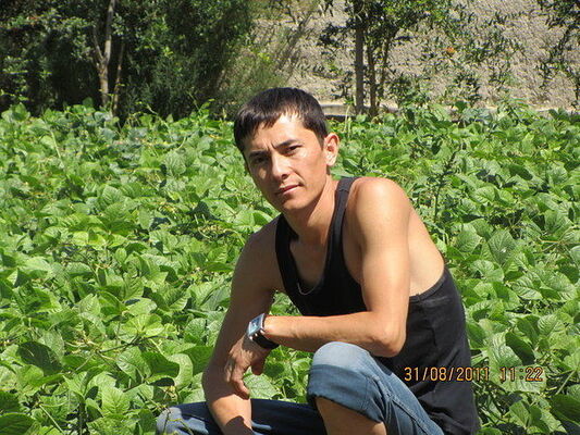  ,   NAZIM, 43 ,   