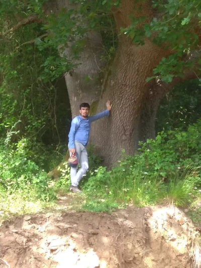  ,   Bayram, 35 ,   ,   , c 