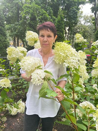  ,   , 62 ,   ,   
