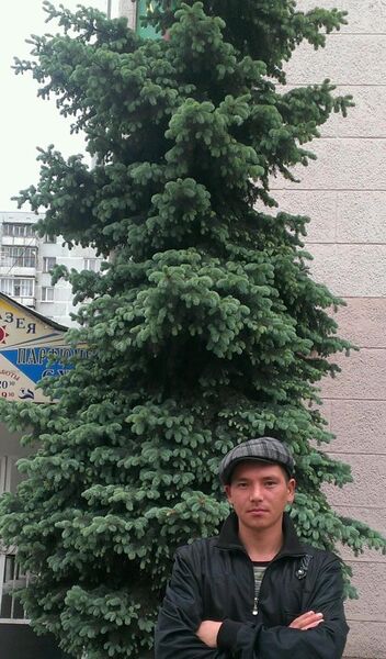  -,   , 37 ,   ,   , c 