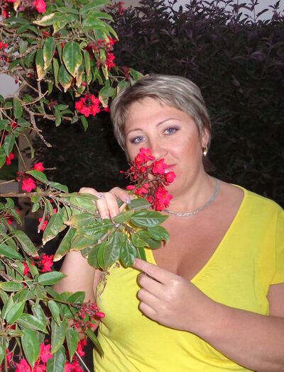  ,   , 50 ,  