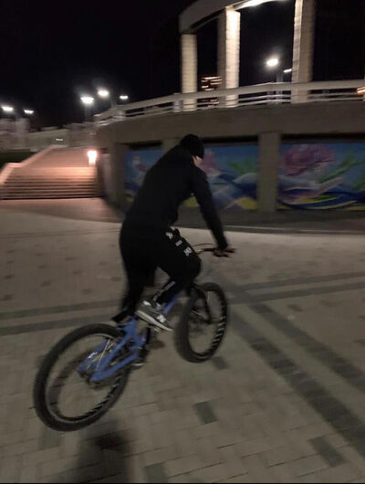   ,   , 29 ,   