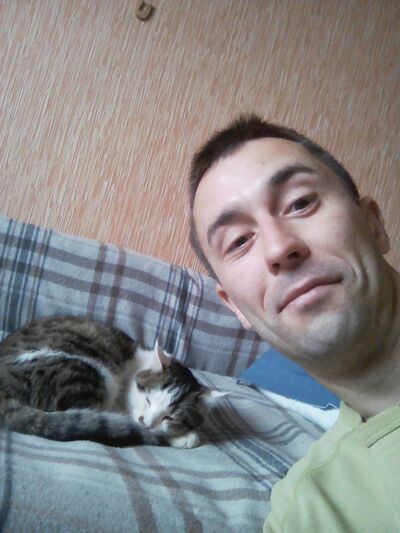  ,   , 38 ,     , c 
