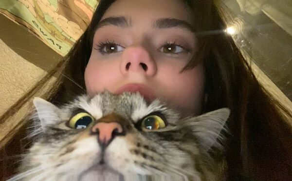  ,   , 22 ,   ,   , c , 