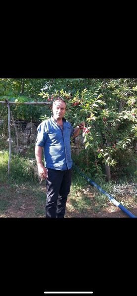  ,   Tolga, 45 ,   ,   