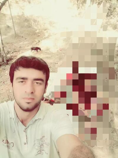 ,   , 33 ,   ,   , c , 