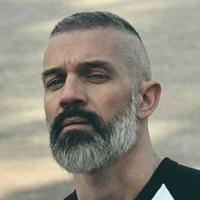  ,   Art, 46 ,   ,   