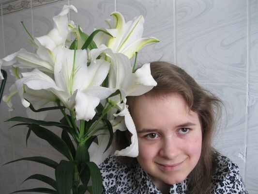  ,    , 28 ,   ,   , c , 