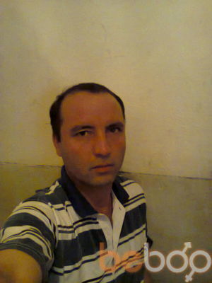  3085274  , 50 ,    