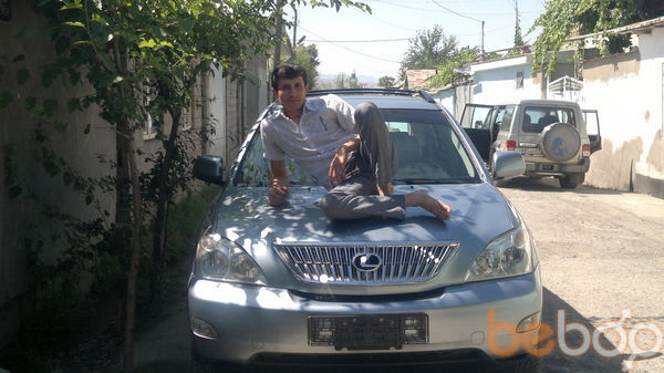  ,   Daler, 37 ,     , c 