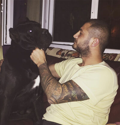  Boyalik,   Ulubatli, 36 ,   ,   