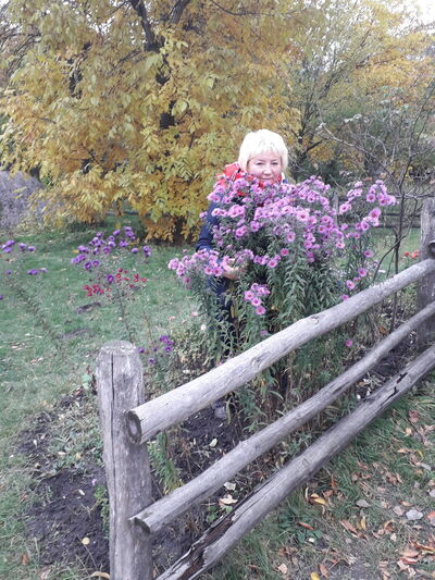   ,   , 63 ,   ,   , c 