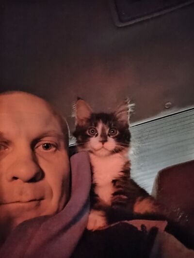  Warszawa,   , 37 ,   ,   
